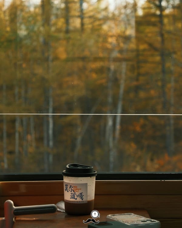L'Éloge de la Lenteur : Pourquoi le train est redevenu l'expérience de voyage ultime